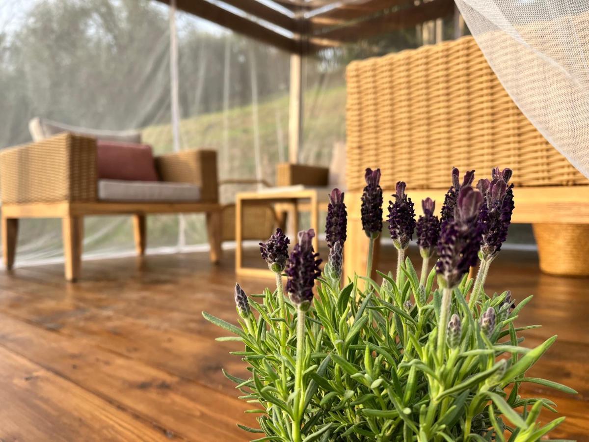 Casa Del Pino Bed and Breakfast Borgo a Buggiano Εξωτερικό φωτογραφία